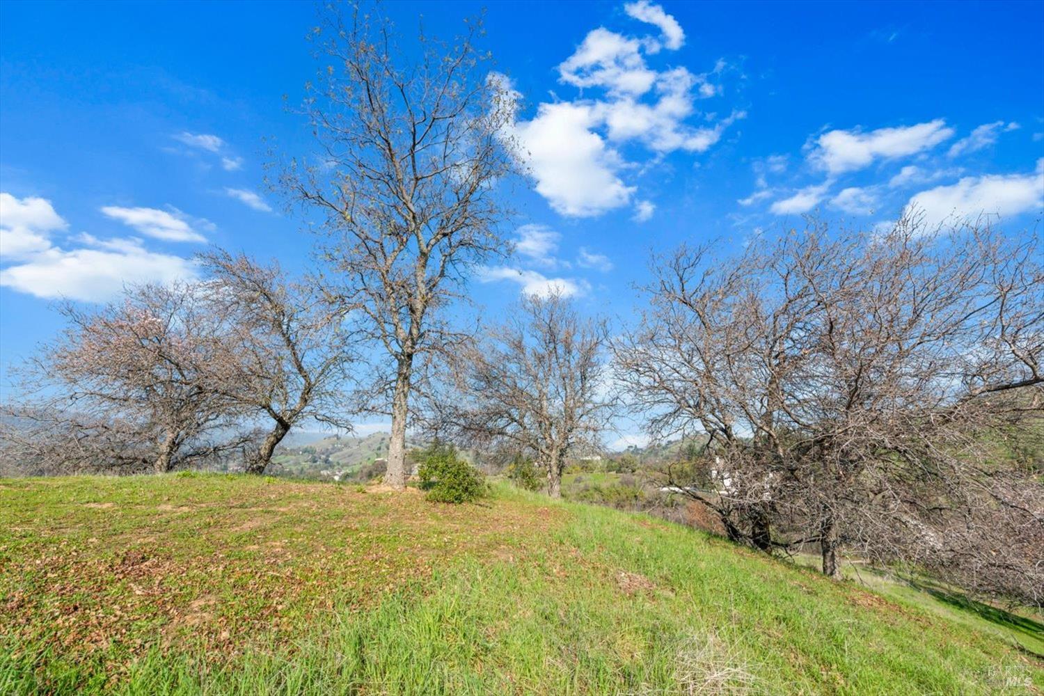 Detail Gallery Image 28 of 74 For 0 Campini Estates Dr, Vacaville,  CA 95688 - – Beds | – Baths