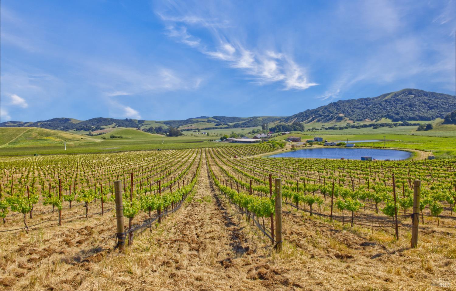 Detail Gallery Image 3 of 40 For 2590 Chileno Valley Rd, Petaluma,  CA 94952 - – Beds | – Baths