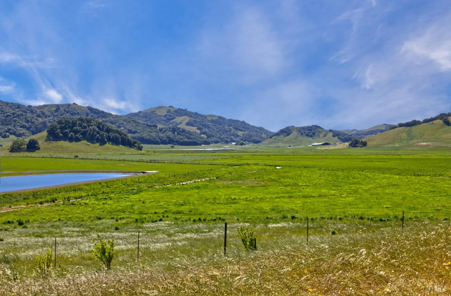 Detail Gallery Image 15 of 40 For 2590 Chileno Valley Rd, Petaluma,  CA 94952 - – Beds | – Baths