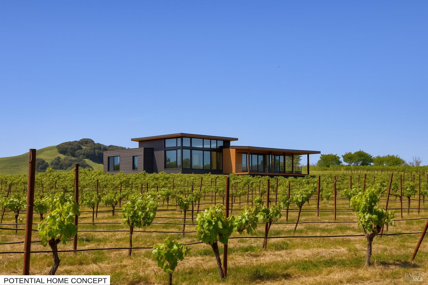 Detail Gallery Image 9 of 40 For 2590 Chileno Valley Rd, Petaluma,  CA 94952 - – Beds | – Baths