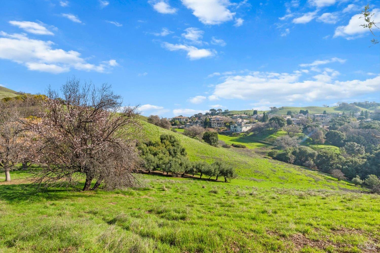 Detail Gallery Image 45 of 74 For 0 Campini Estates Dr, Vacaville,  CA 95688 - – Beds | – Baths