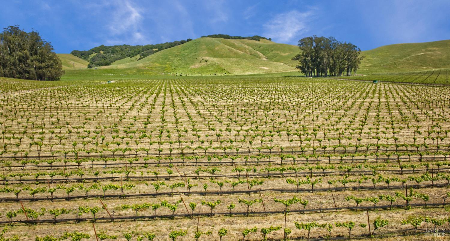 Detail Gallery Image 32 of 40 For 2590 Chileno Valley Rd, Petaluma,  CA 94952 - – Beds | – Baths