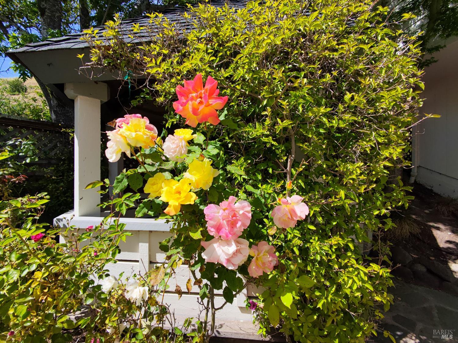 Detail Gallery Image 22 of 27 For 12 Greenfield Ct, Mill Valley,  CA 94941 - 4 Beds | 3/1 Baths
