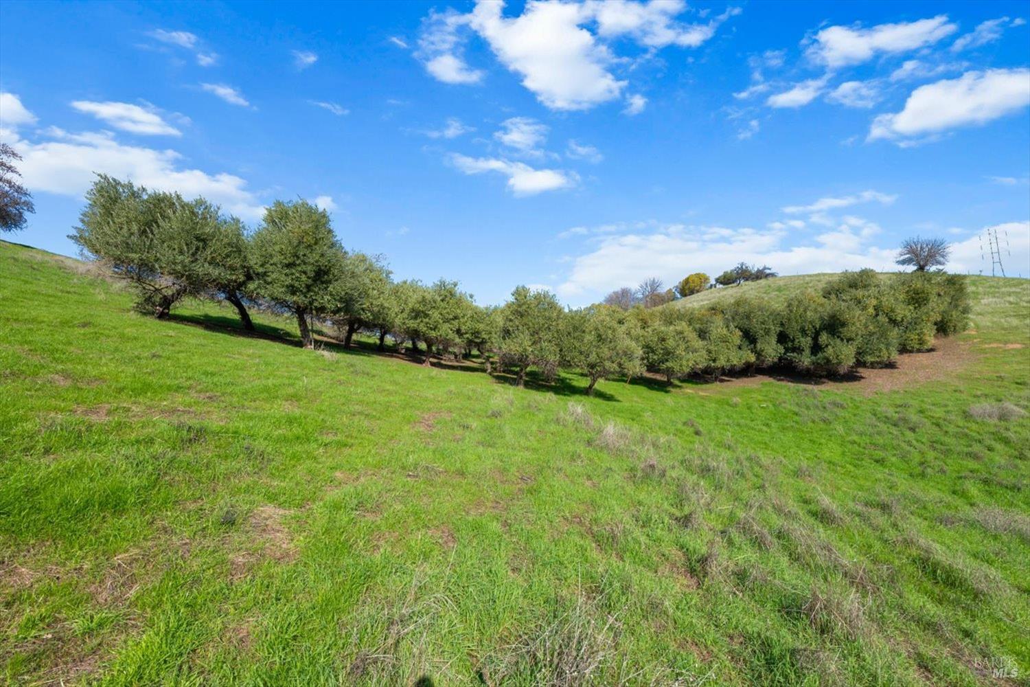 Detail Gallery Image 14 of 74 For 0 Campini Estates Dr, Vacaville,  CA 95688 - – Beds | – Baths