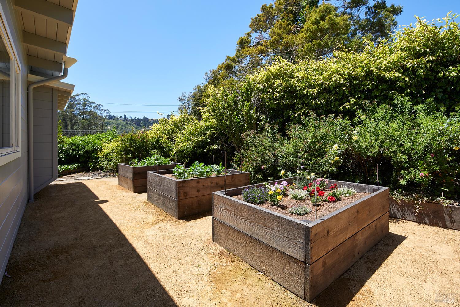 Detail Gallery Image 24 of 42 For 64 Edgewood Ave, Mill Valley,  CA 94941 - 3 Beds | 2 Baths