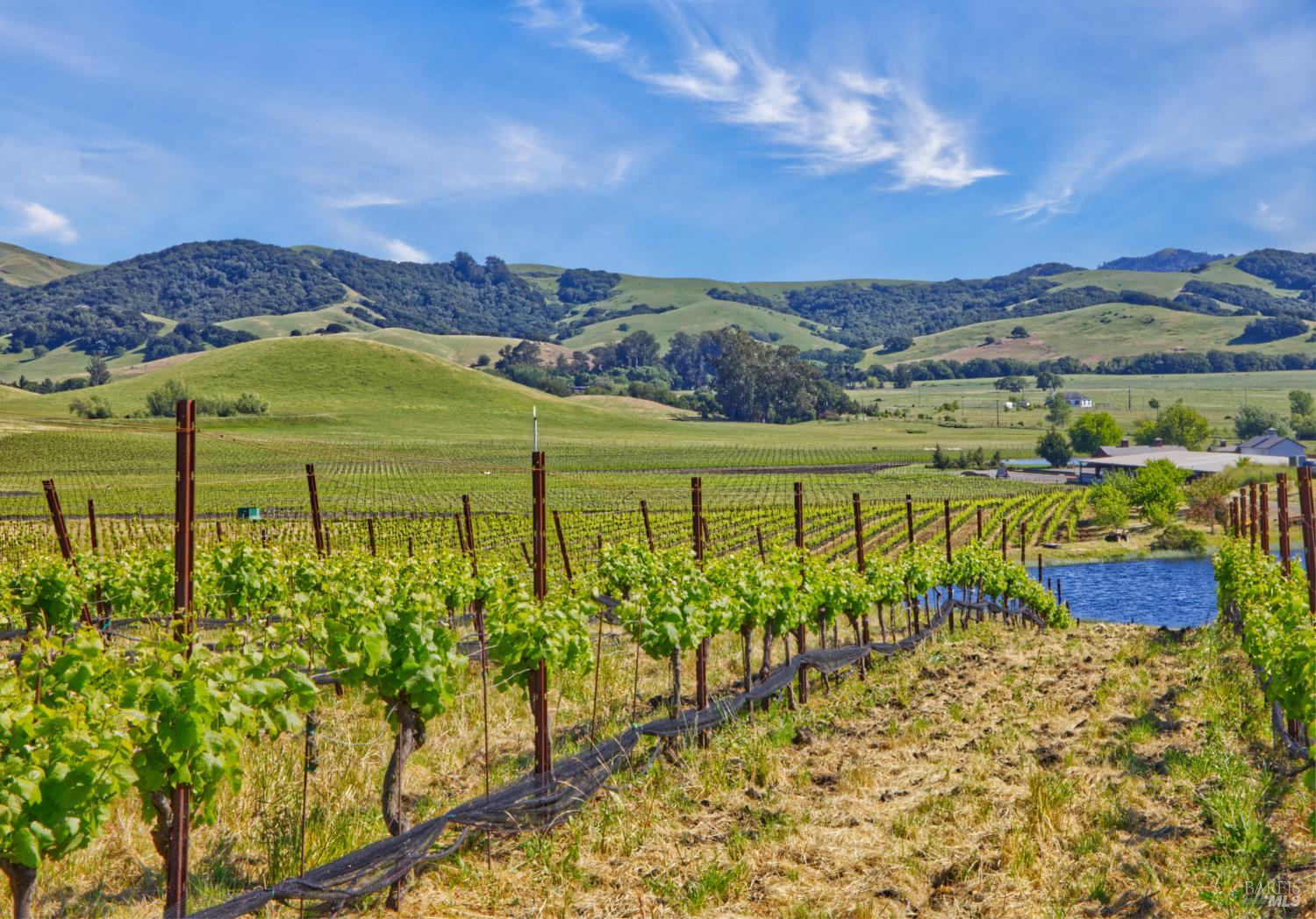 Detail Gallery Image 1 of 40 For 2590 Chileno Valley Rd, Petaluma,  CA 94952 - – Beds | – Baths