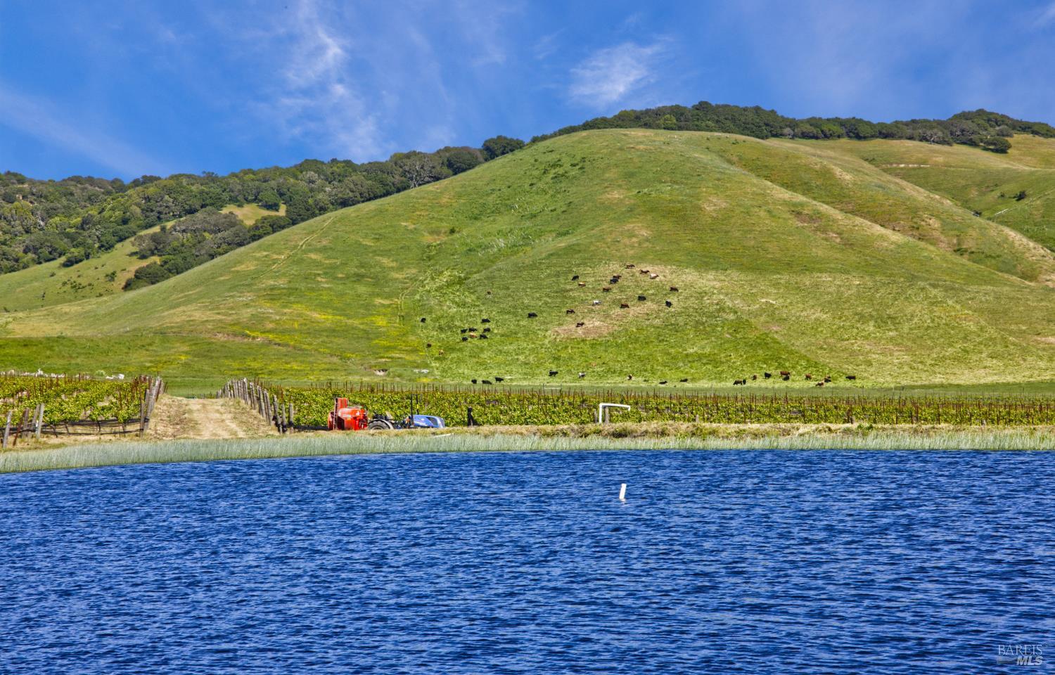 Detail Gallery Image 6 of 40 For 2590 Chileno Valley Rd, Petaluma,  CA 94952 - – Beds | – Baths