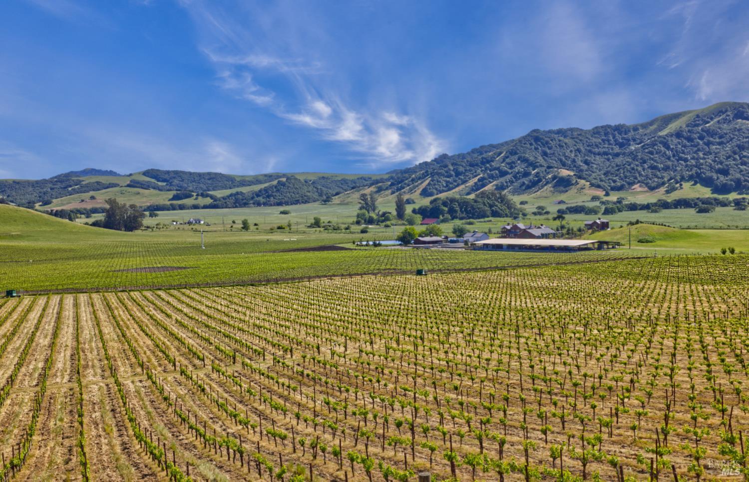 Detail Gallery Image 27 of 40 For 2590 Chileno Valley Rd, Petaluma,  CA 94952 - – Beds | – Baths