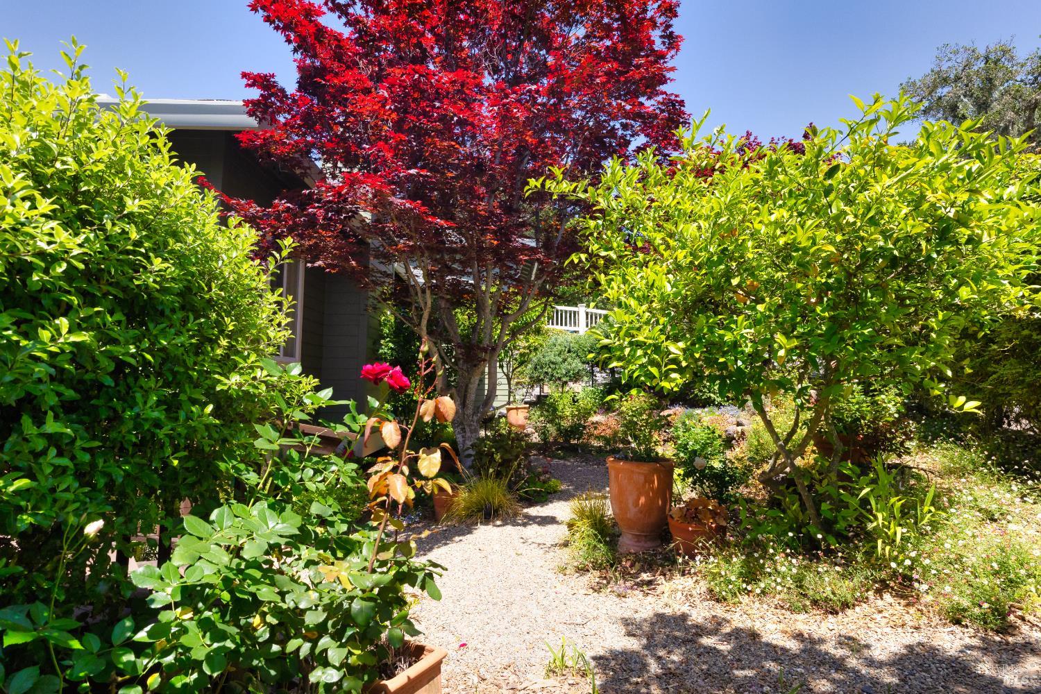 Detail Gallery Image 30 of 37 For 15 Upland Ln, Novato,  CA 94945 - 4 Beds | 3/1 Baths
