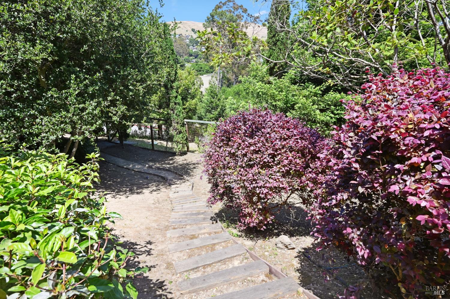 Detail Gallery Image 59 of 65 For 110 Monterey Dr, Tiburon,  CA 94920 - 5 Beds | 4/1 Baths