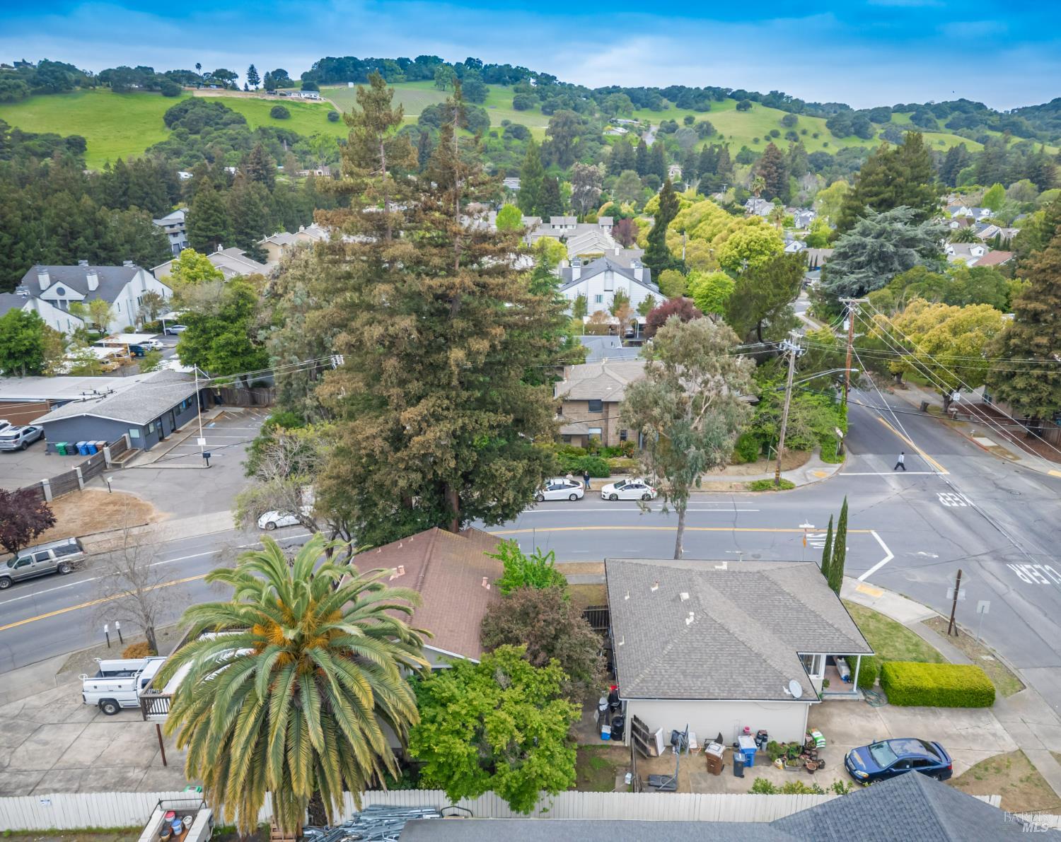 Golden Gate Drive, Napa, California image 7