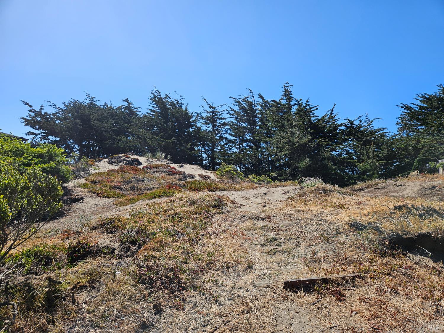 Detail Gallery Image 1 of 5 For 280 Driftwood Ave, Bodega Bay,  CA 94923 - – Beds | – Baths