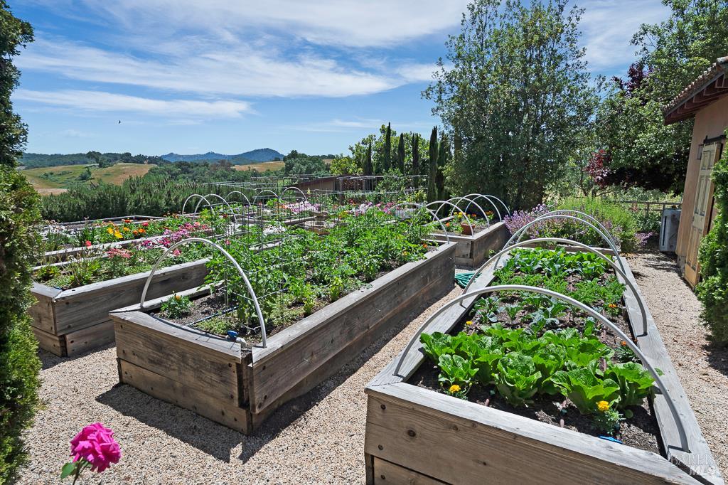 Detail Gallery Image 42 of 62 For Address Is Not Disclosed, Healdsburg,  CA 95448 - 3 Beds | 3/3 Baths