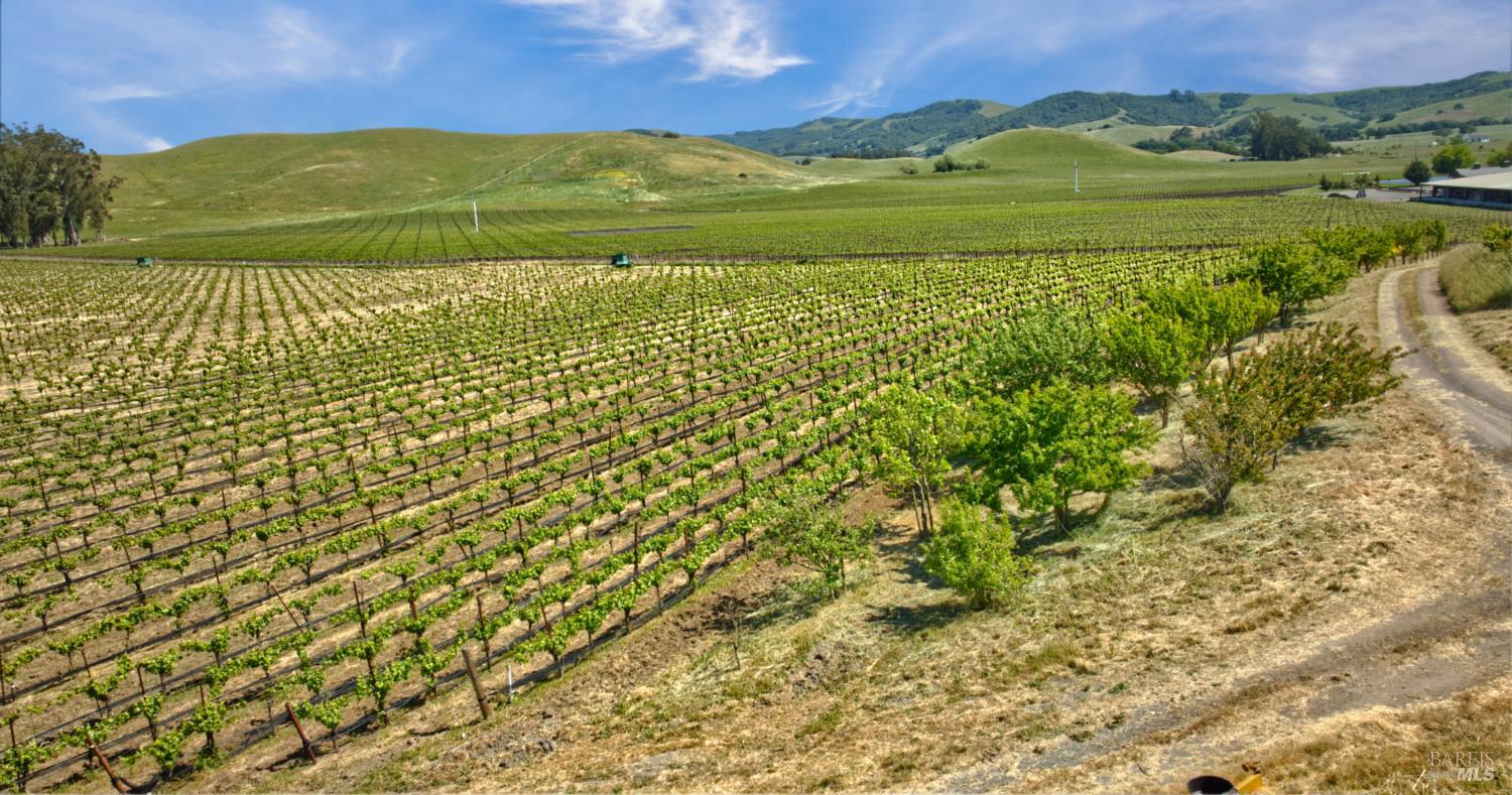 Detail Gallery Image 34 of 40 For 2590 Chileno Valley Rd, Petaluma,  CA 94952 - – Beds | – Baths