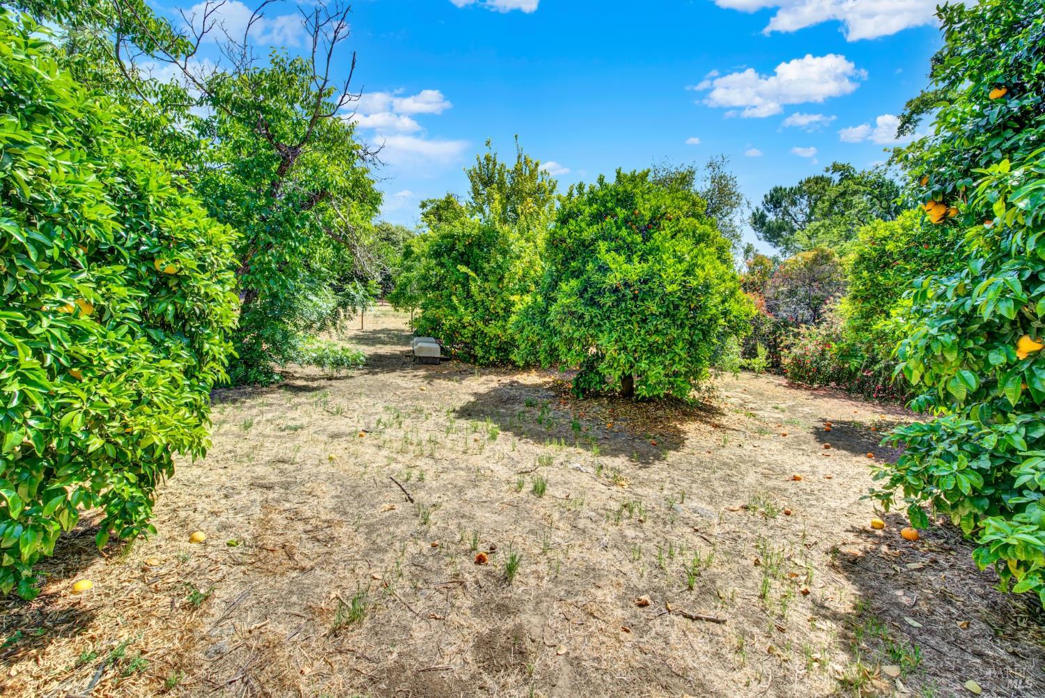 Detail Gallery Image 91 of 98 For 6869 Steiger Hill Rd, Vacaville,  CA 95688 - 4 Beds | 3 Baths