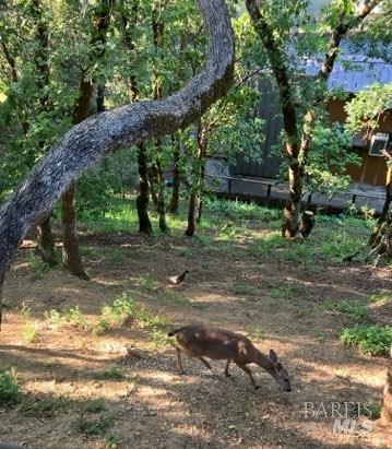 Detail Gallery Image 26 of 30 For 280 San Jacinta Dr #J,  Ukiah,  CA 95482 - 2 Beds | 2/1 Baths