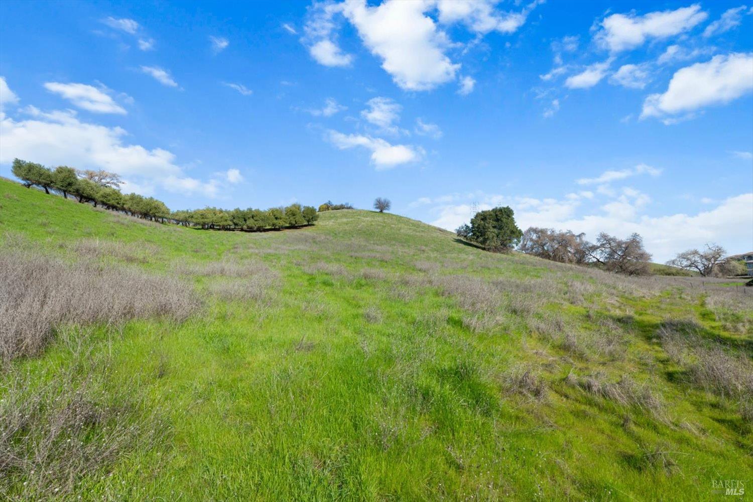 Detail Gallery Image 22 of 74 For 0 Campini Estates Dr, Vacaville,  CA 95688 - – Beds | – Baths