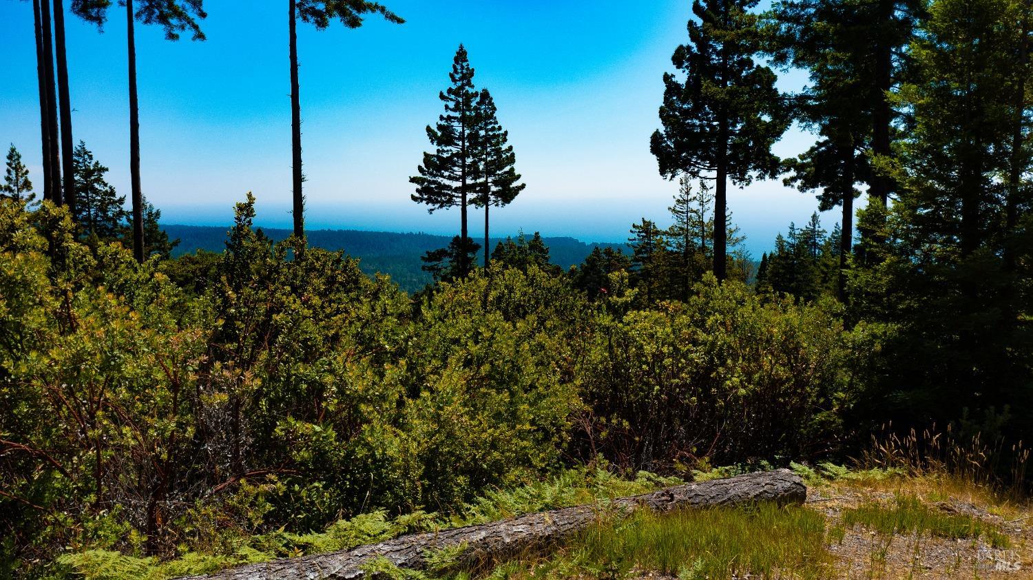Detail Gallery Image 28 of 29 For 44591 Zettler Rd, Point Arena,  CA 95468 - – Beds | – Baths