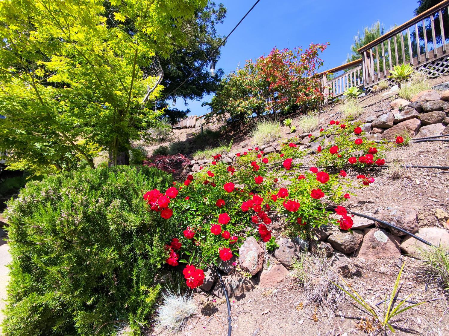 Detail Gallery Image 21 of 27 For 12 Greenfield Ct, Mill Valley,  CA 94941 - 4 Beds | 3/1 Baths