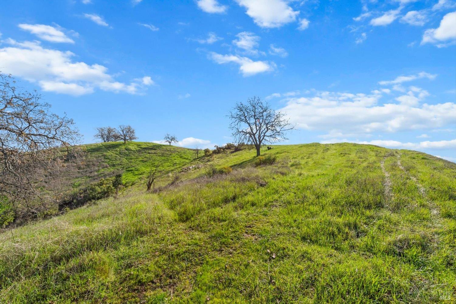 Detail Gallery Image 36 of 74 For 0 Campini Estates Dr, Vacaville,  CA 95688 - – Beds | – Baths