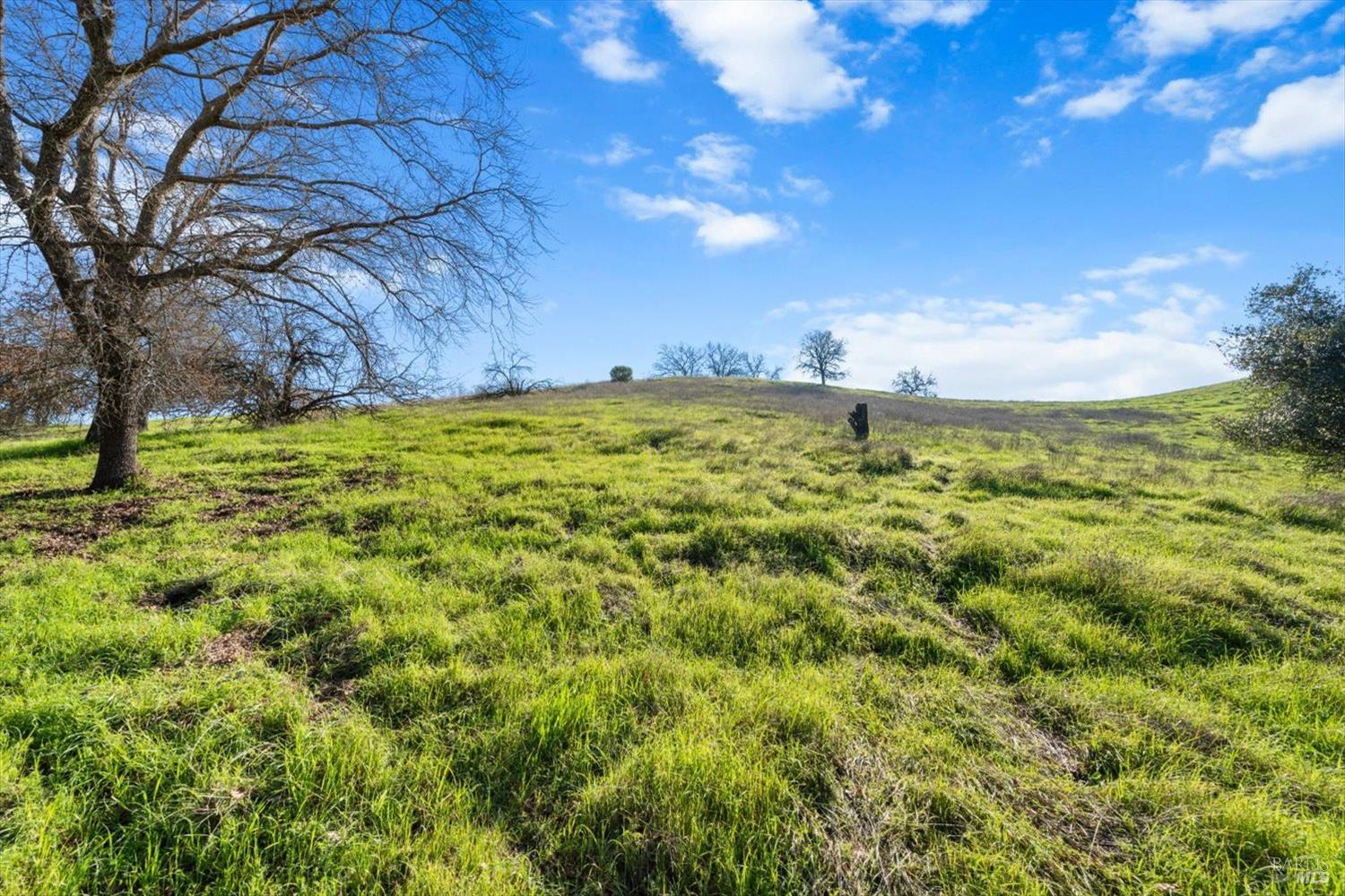 Detail Gallery Image 23 of 74 For 0 Campini Estates Dr, Vacaville,  CA 95688 - – Beds | – Baths