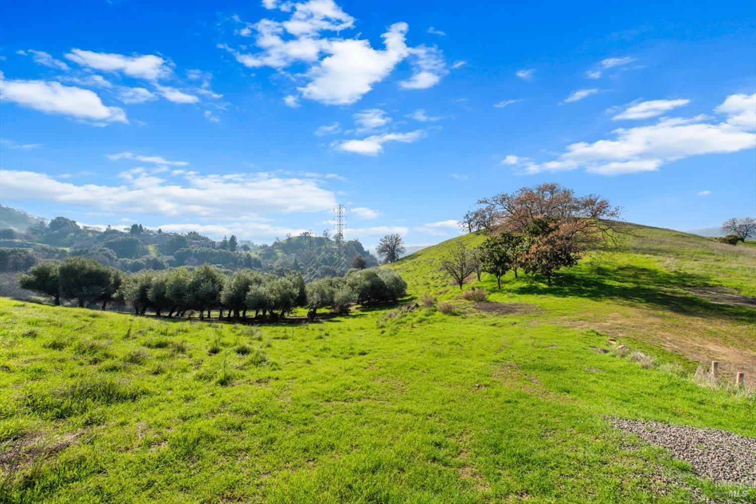 Detail Gallery Image 10 of 74 For 0 Campini Estates Dr, Vacaville,  CA 95688 - – Beds | – Baths