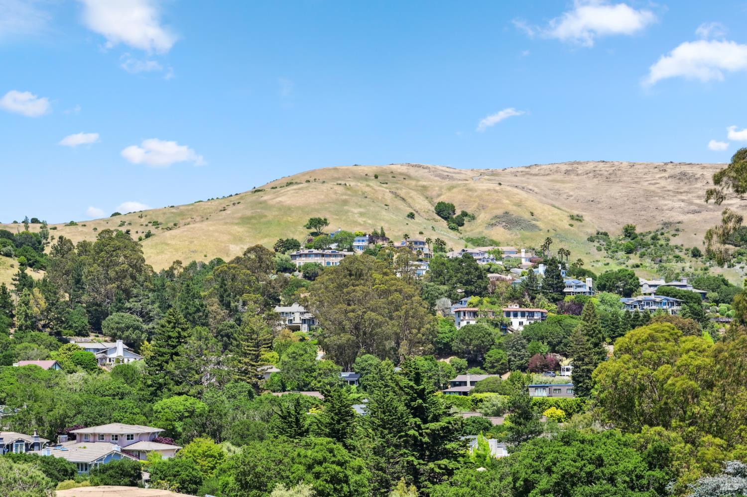 Detail Gallery Image 16 of 65 For 110 Monterey Dr, Tiburon,  CA 94920 - 5 Beds | 4/1 Baths