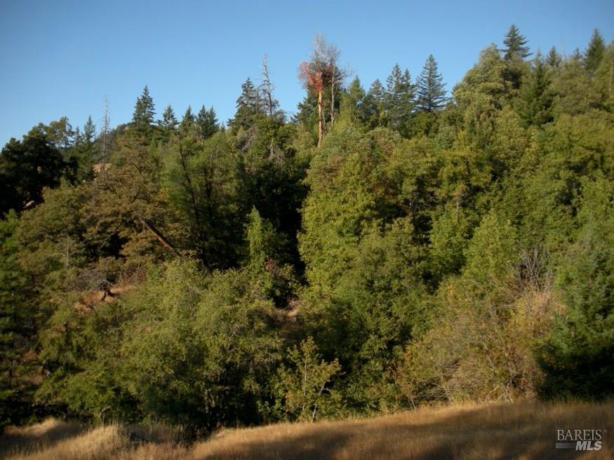 Detail Gallery Image 37 of 41 For 5080 Yellow Star Rd, Leggett,  CA 95585 - – Beds | – Baths