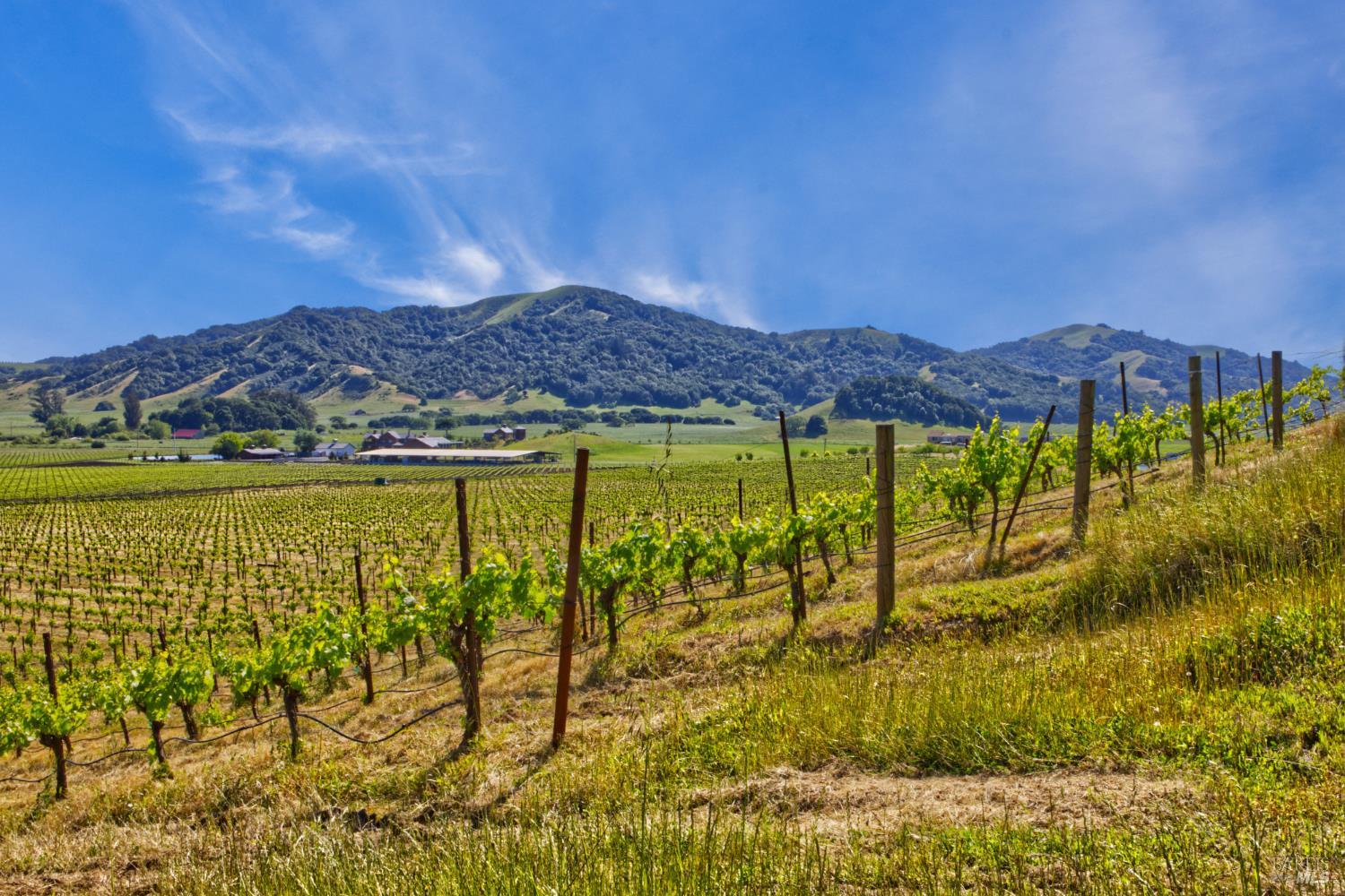 Detail Gallery Image 25 of 40 For 2590 Chileno Valley Rd, Petaluma,  CA 94952 - – Beds | – Baths