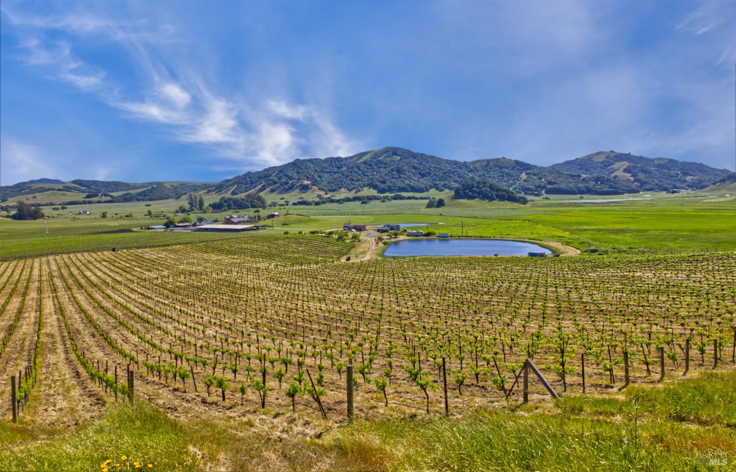 Detail Gallery Image 28 of 40 For 2590 Chileno Valley Rd, Petaluma,  CA 94952 - – Beds | – Baths