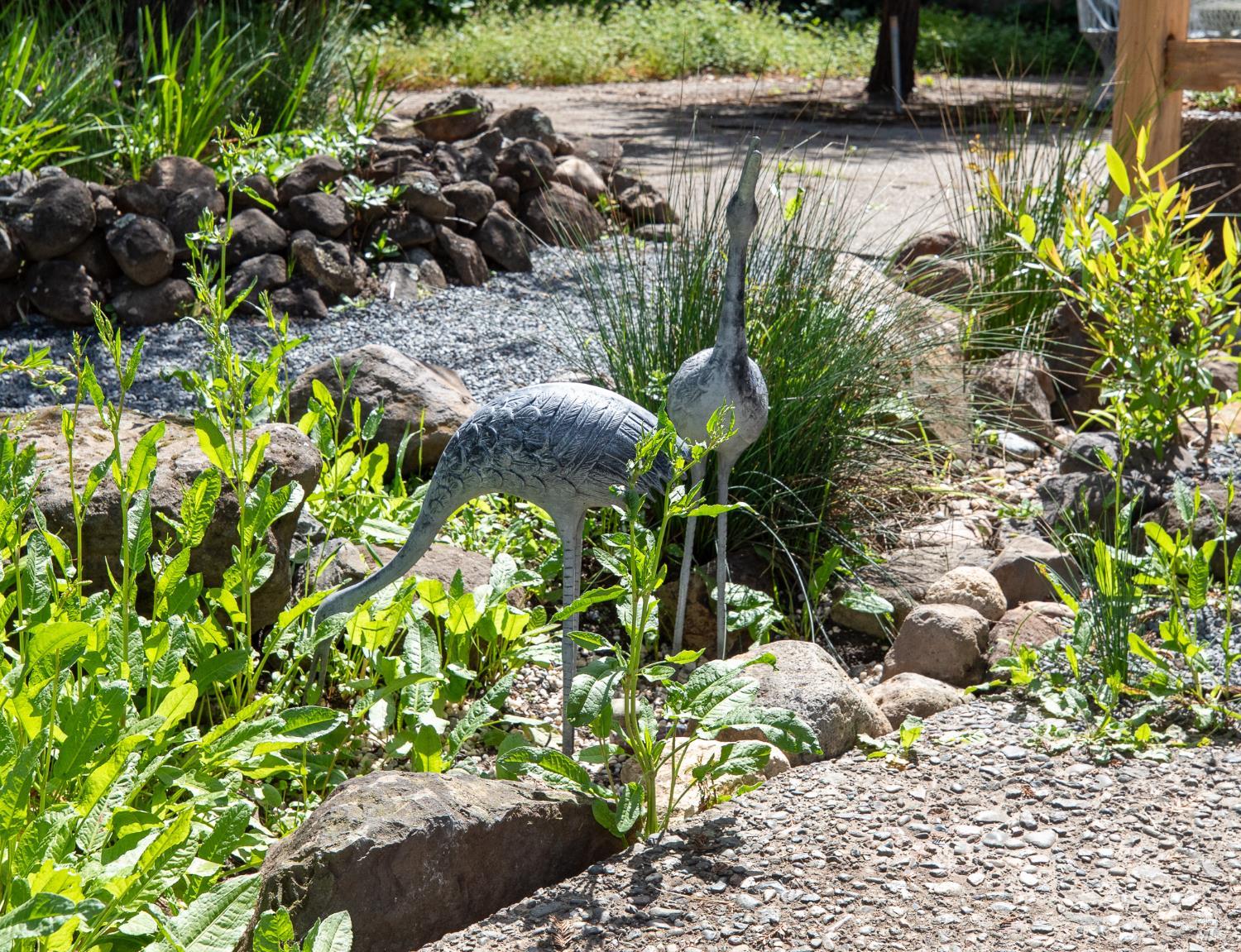 Detail Gallery Image 39 of 56 For 2055 Stonewood Dr, Santa Rosa,  CA 95404 - 3 Beds | 2 Baths