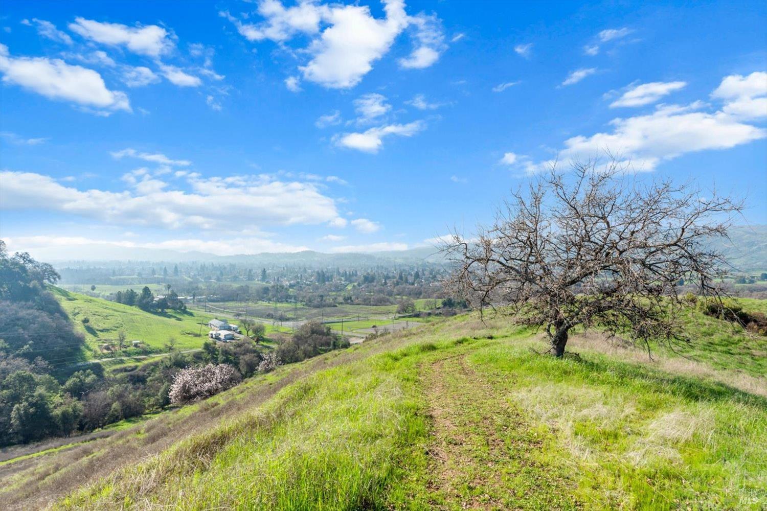 Detail Gallery Image 29 of 74 For 0 Campini Estates Dr, Vacaville,  CA 95688 - – Beds | – Baths