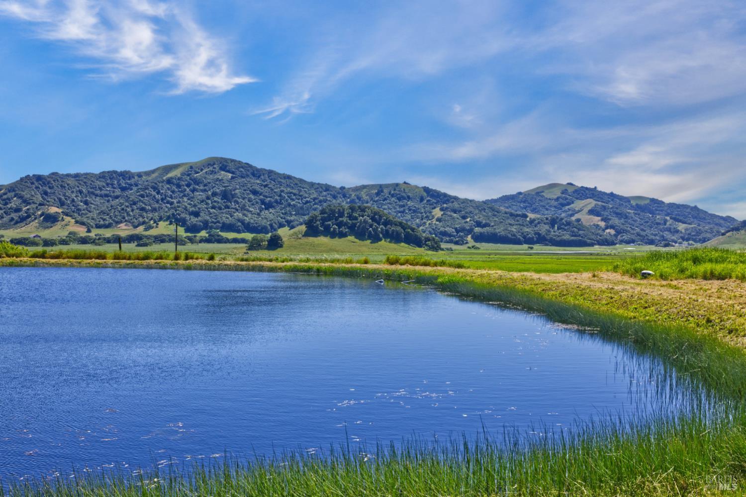 Detail Gallery Image 2 of 40 For 2590 Chileno Valley Rd, Petaluma,  CA 94952 - – Beds | – Baths