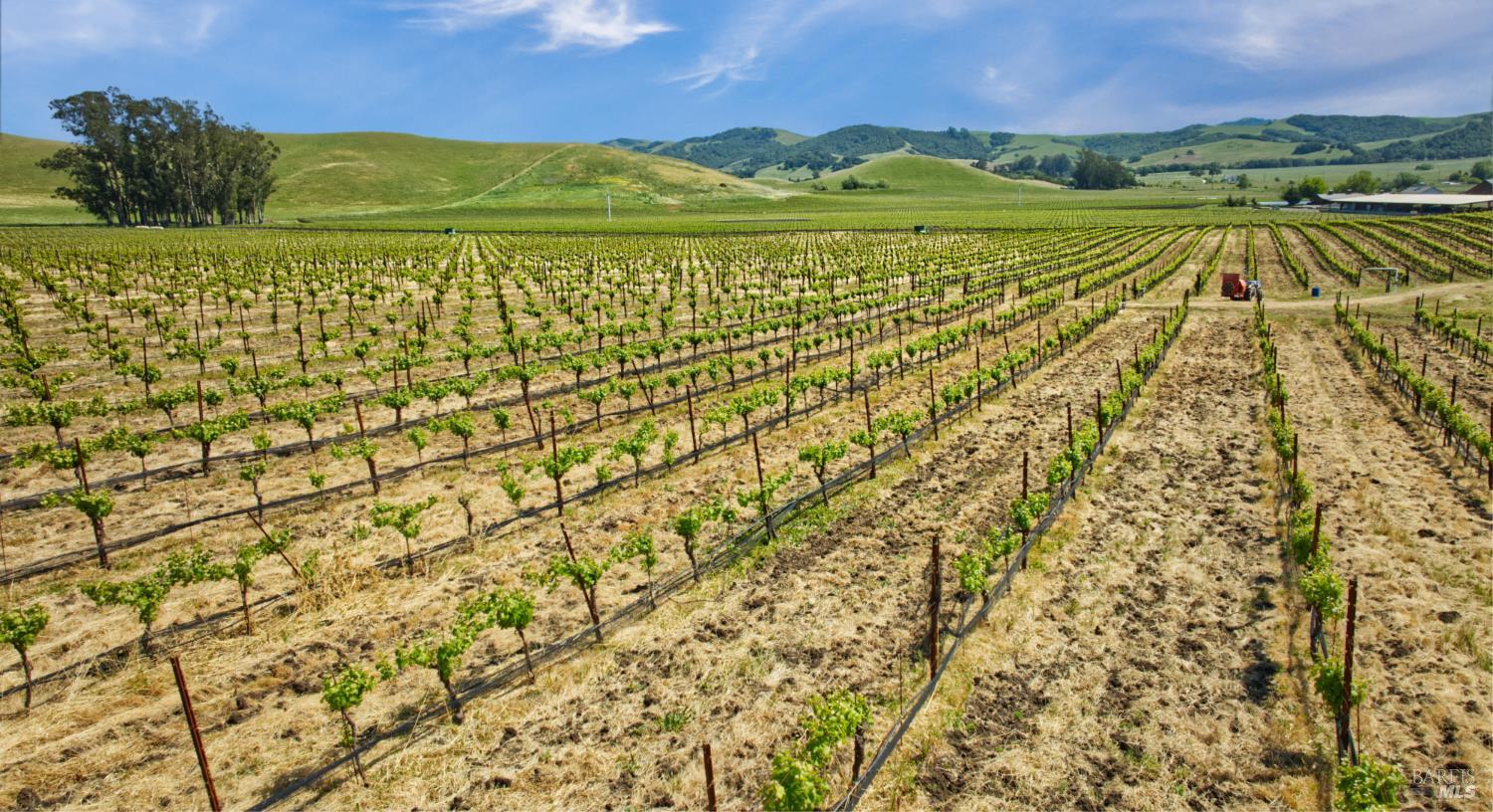 Detail Gallery Image 33 of 40 For 2590 Chileno Valley Rd, Petaluma,  CA 94952 - – Beds | – Baths