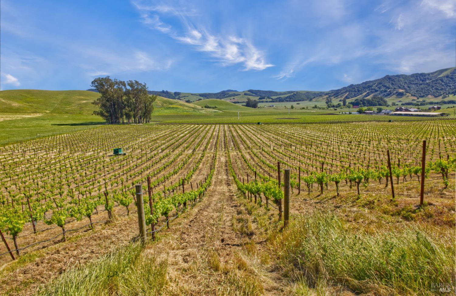 Detail Gallery Image 26 of 40 For 2590 Chileno Valley Rd, Petaluma,  CA 94952 - – Beds | – Baths