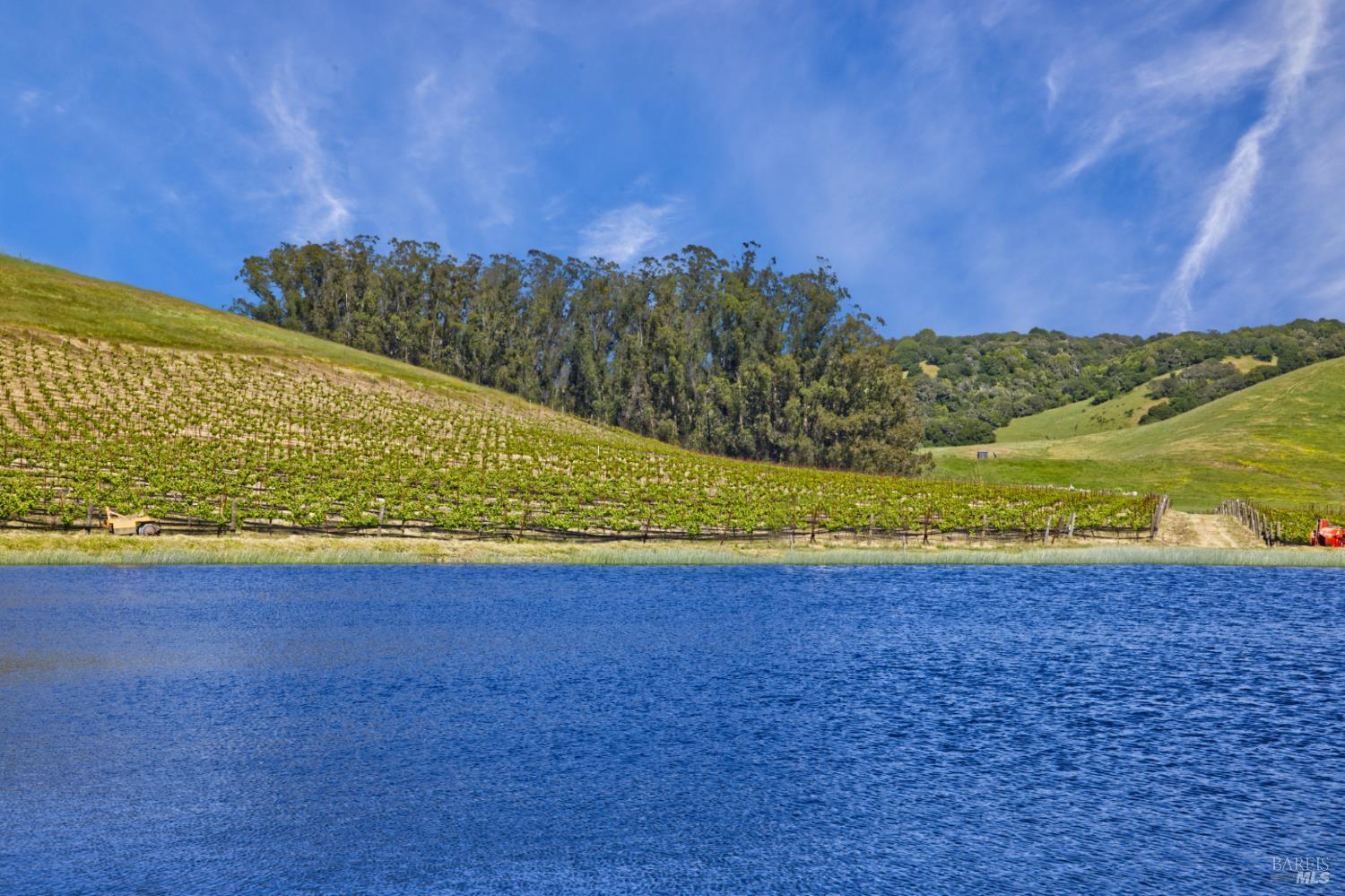 Detail Gallery Image 17 of 40 For 2590 Chileno Valley Rd, Petaluma,  CA 94952 - – Beds | – Baths