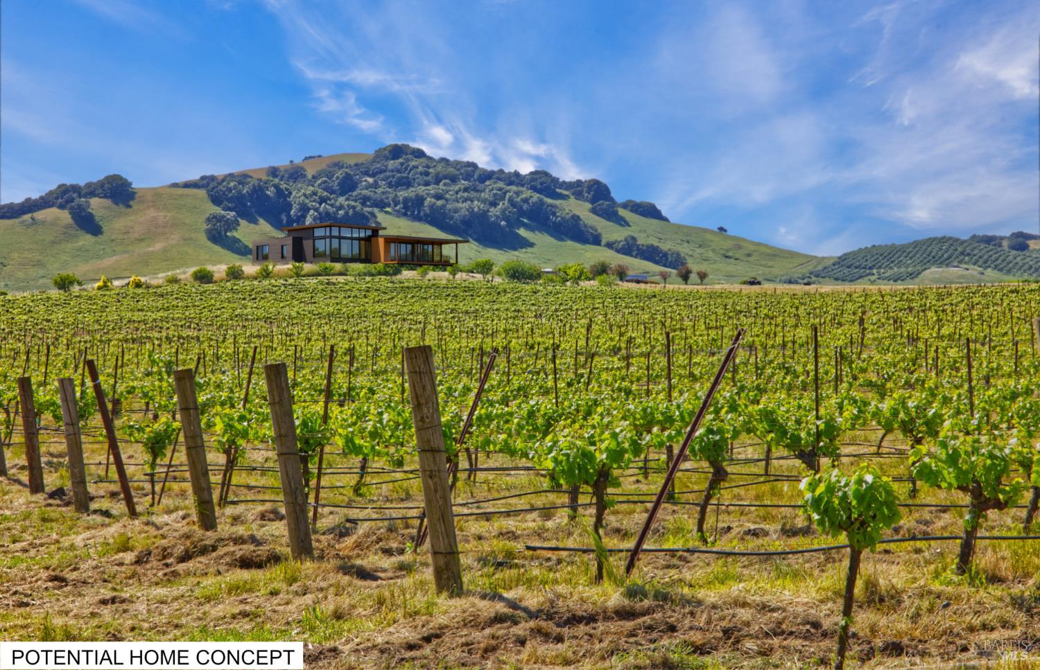 Detail Gallery Image 13 of 40 For 2590 Chileno Valley Rd, Petaluma,  CA 94952 - – Beds | – Baths