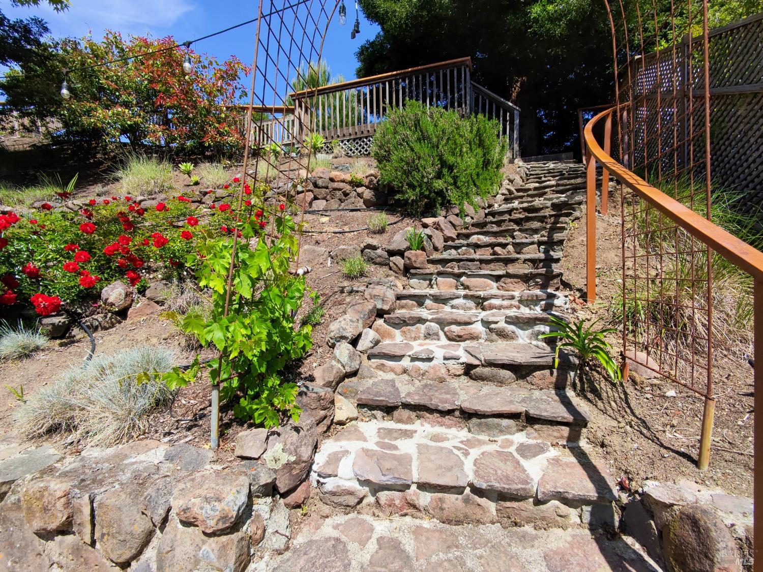 Detail Gallery Image 20 of 27 For 12 Greenfield Ct, Mill Valley,  CA 94941 - 4 Beds | 3/1 Baths