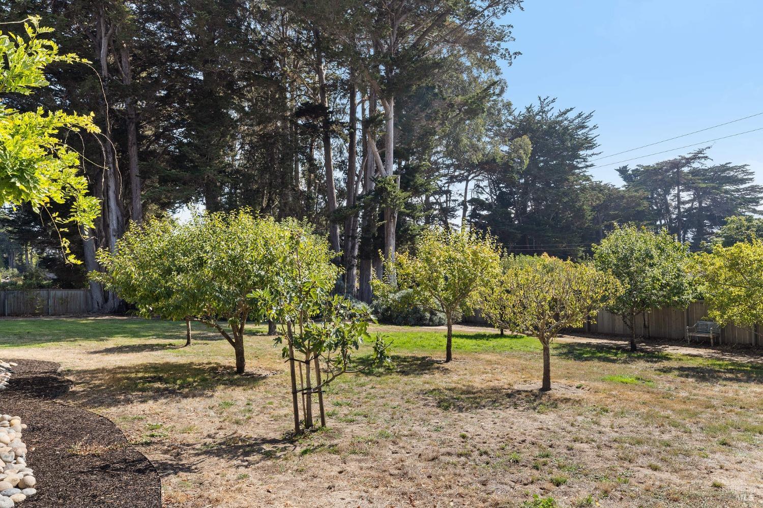 Detail Gallery Image 24 of 56 For 41 Cypress Rd, Point Reyes Station,  CA 94956 - 4 Beds | 4/1 Baths