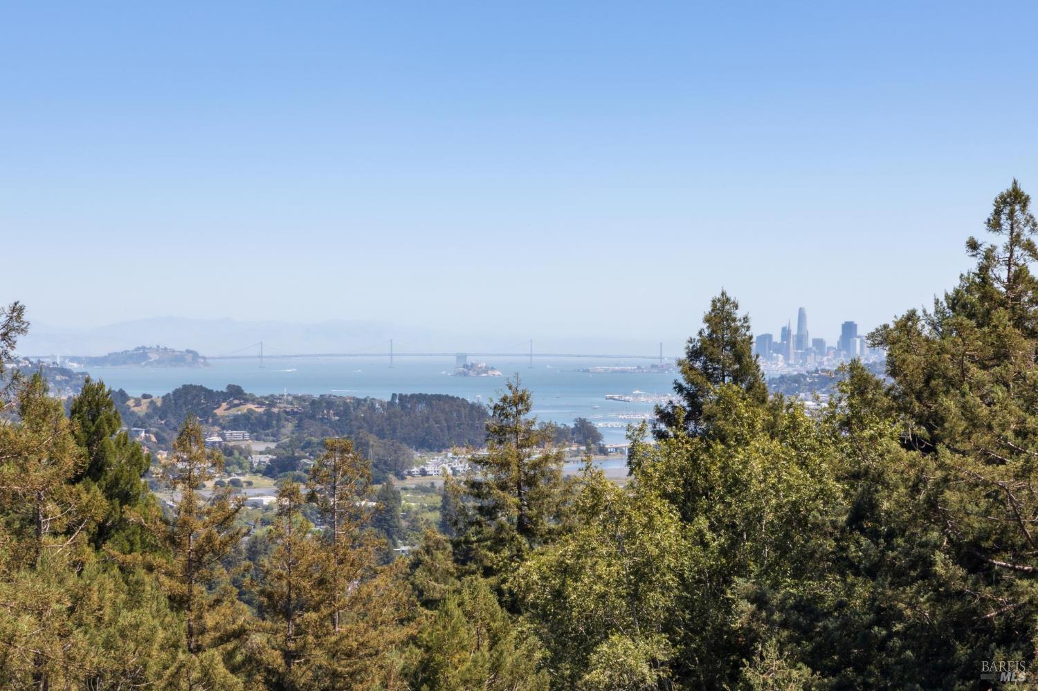 Detail Gallery Image 43 of 54 For 222 Marguerite Ave, Mill Valley,  CA 94941 - 4 Beds | 5 Baths