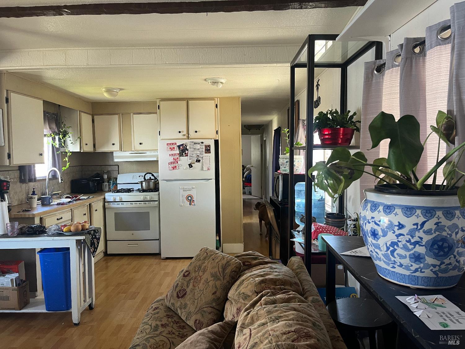Detail Gallery Image 3 of 9 For 1750 S Main St 69, Willits,  CA 95490 - 3 Beds | 1 Baths