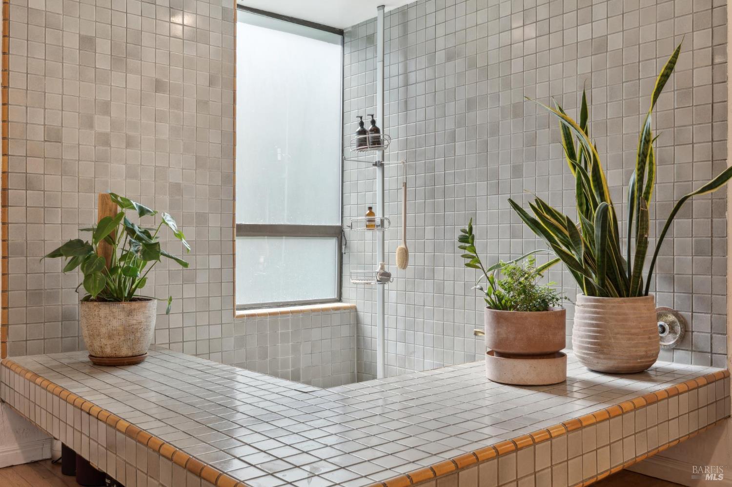 Detail Gallery Image 35 of 54 For 222 Marguerite Ave, Mill Valley,  CA 94941 - 4 Beds | 5 Baths