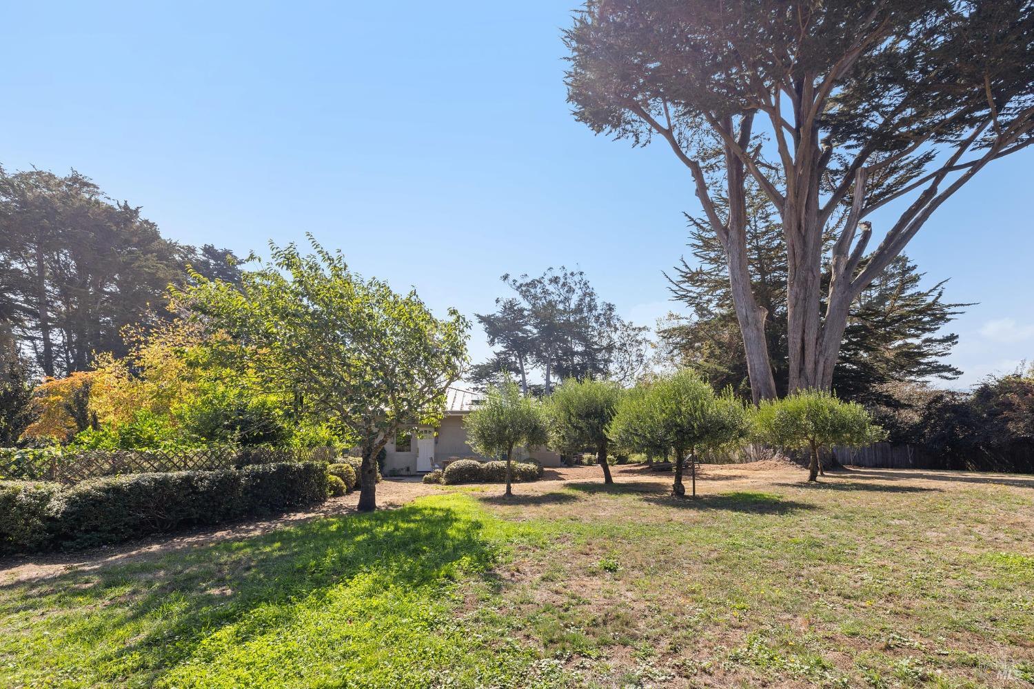 Detail Gallery Image 34 of 56 For 41 Cypress Rd, Point Reyes Station,  CA 94956 - 4 Beds | 4/1 Baths