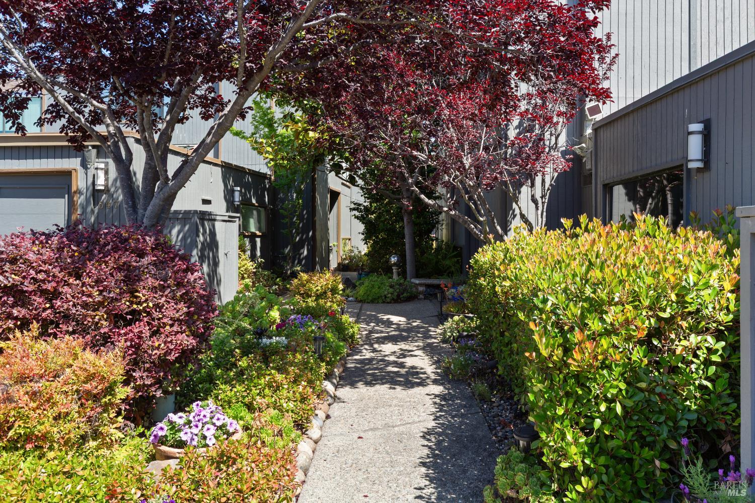 Detail Gallery Image 3 of 53 For 553 Kings Rd, Alameda,  CA 94501 - 2 Beds | 2/1 Baths