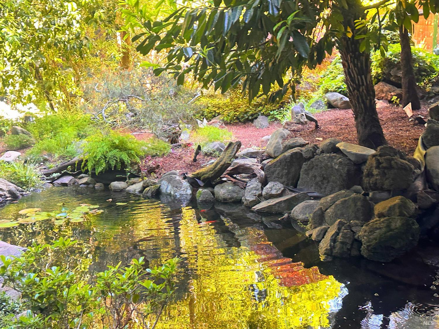 Detail Gallery Image 85 of 97 For 119 Marguerite Ave, Mill Valley,  CA 94941 - 6 Beds | 4/1 Baths
