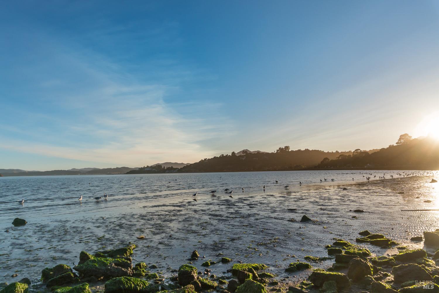 Detail Gallery Image 63 of 67 For 16 Marin Bay Park Ct, San Rafael,  CA 94901 - 4 Beds | 3/1 Baths