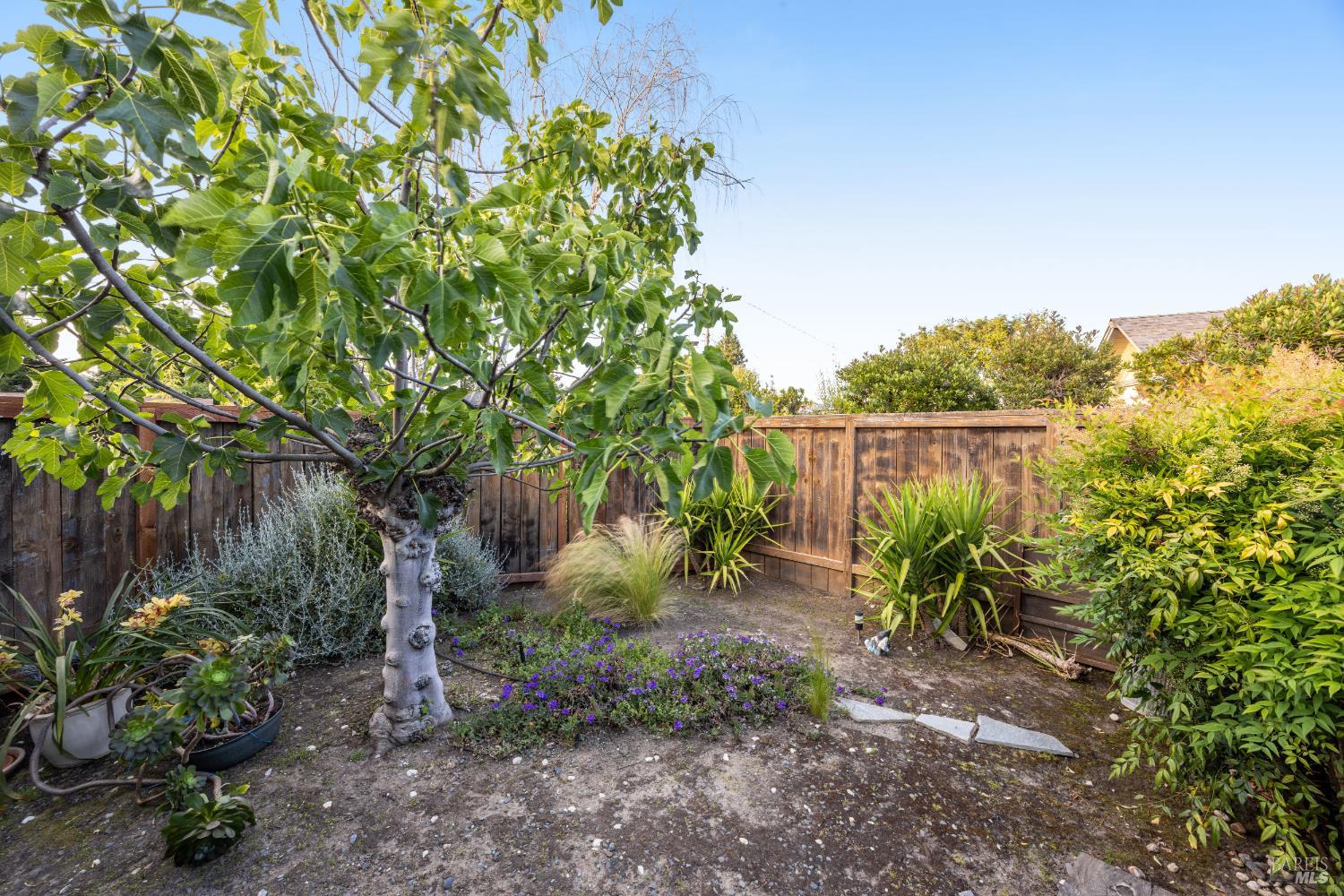 Detail Gallery Image 63 of 83 For 22 Laurie Ct, Novato,  CA 94947 - 4 Beds | 2 Baths