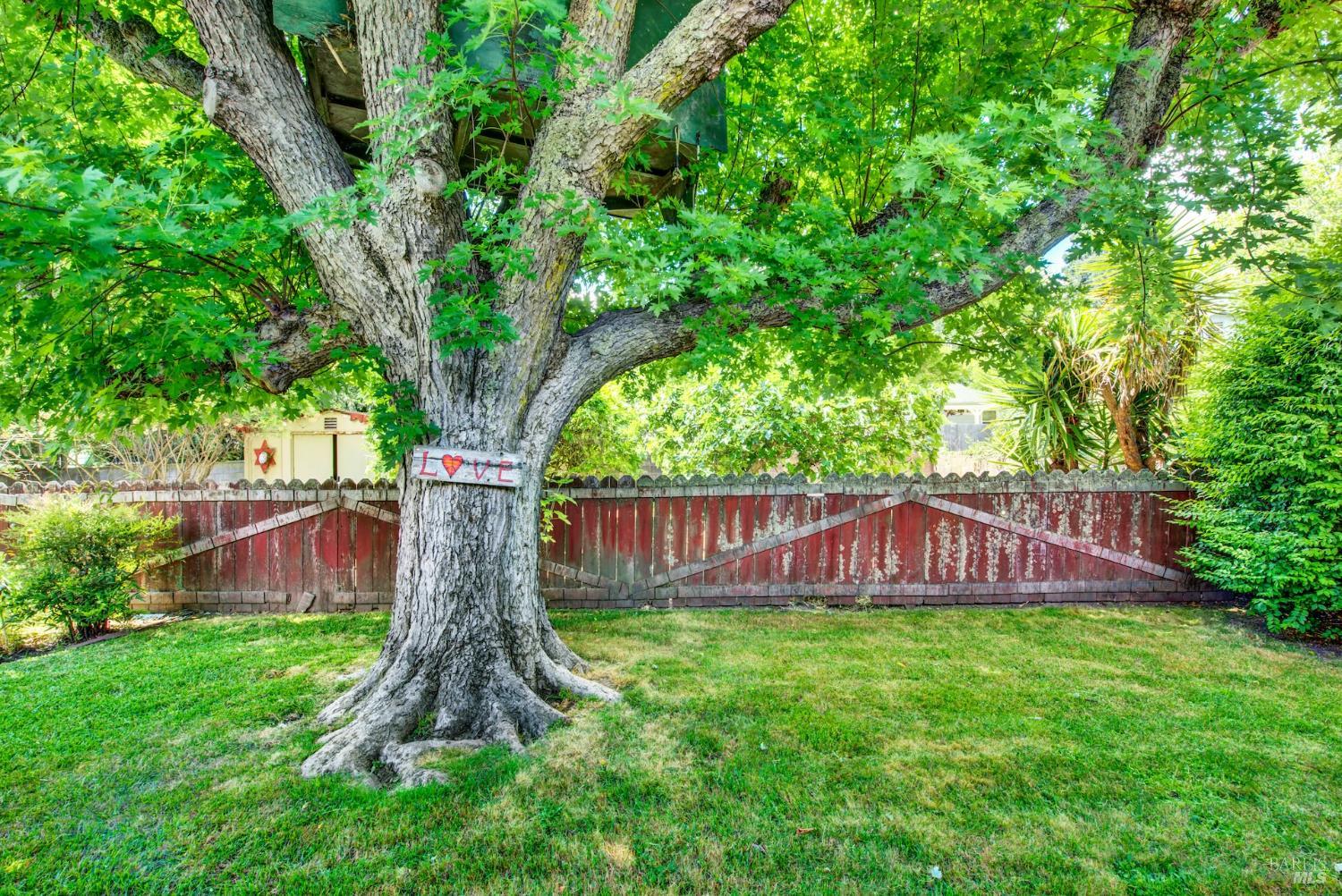 Detail Gallery Image 55 of 64 For 285 Homewood Ave, Napa,  CA 94558 - 2 Beds | 1 Baths