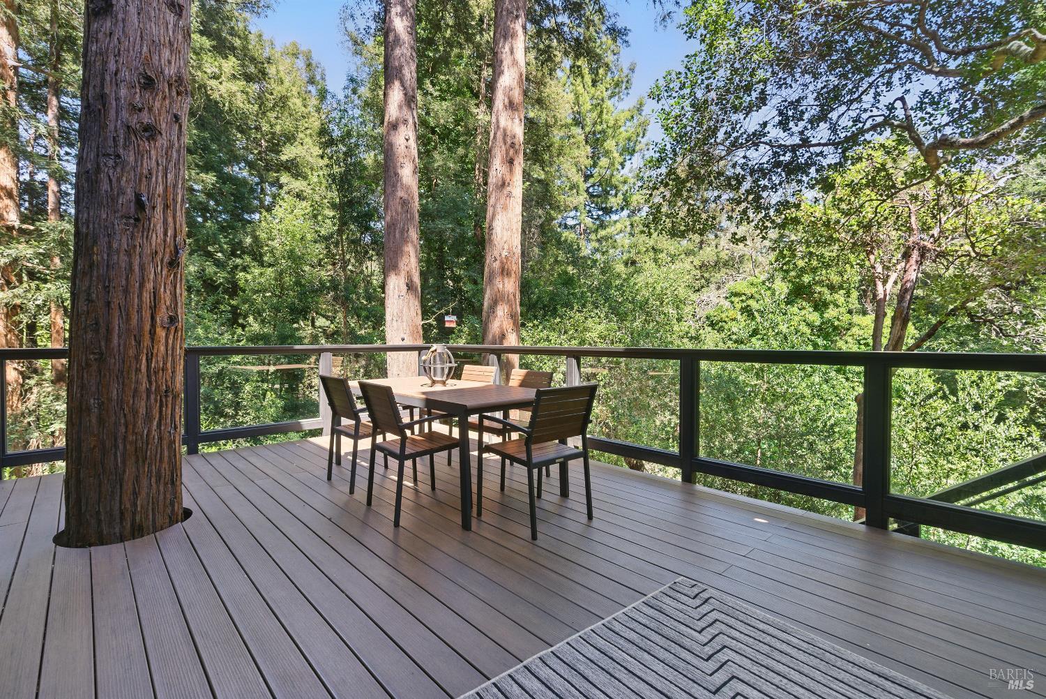 Detail Gallery Image 80 of 97 For 119 Marguerite Ave, Mill Valley,  CA 94941 - 6 Beds | 4/1 Baths