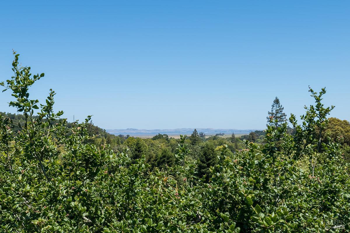 Detail Gallery Image 20 of 53 For 25 Wimbledon Ct, Novato,  CA 94949 - 4 Beds | 3/1 Baths
